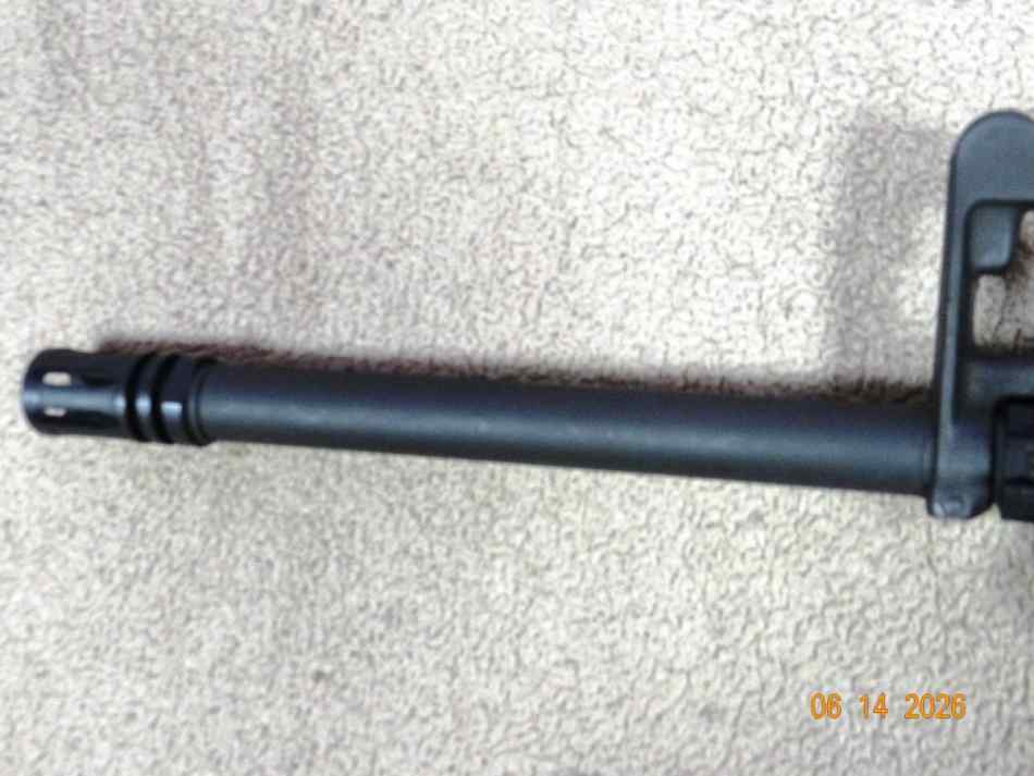 c12.JPG