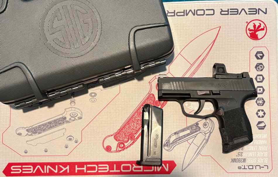 Sig Sauer P365 .380