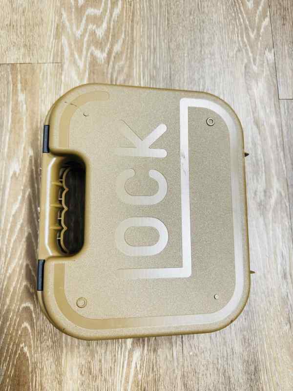 Glock 19X 