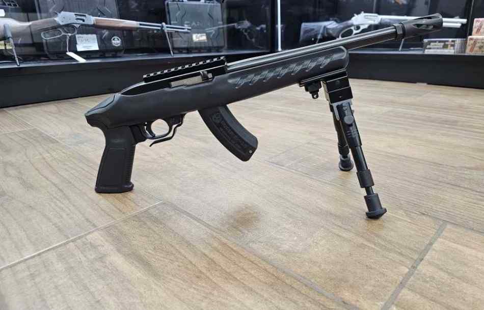 Ruger 22 Charger 22 22lr 22LR Plinker Plinkers 